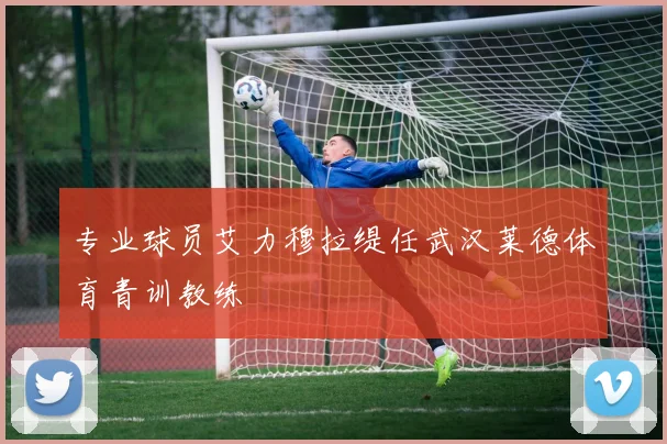 专业球员艾力穆拉缇任武汉莱德体育青训教练