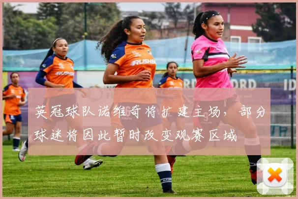 英冠球队诺维奇将扩建主场，部分球迷将因此暂时改变观赛区域